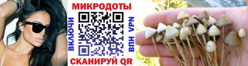 Галлюциногенные грибы Psilocybe  Миасс 